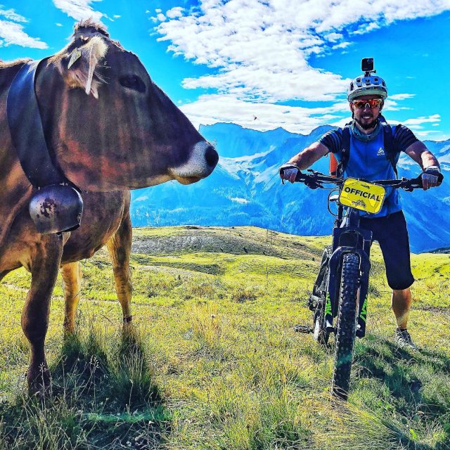 what‘s going on here? 🐮 swiss epic! #alps #mountains #swissalps #swissmountains #switzerland #graubünden #laax #arosa #davos #swissepic #mtb #mountainbike #mtbswitzerland #mtbenduro #enduromtb #stagerace 
#swisscycling #ridewithguide #marczauggbike #lifebehindbars 
#august2020 #nature #sun #bluesky #rocknroll #cow #official