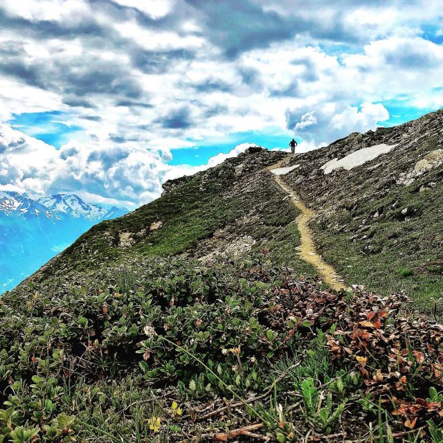 perfect trails - almost all of them!
#alps #mountains #swissalps #swissmountains #switzerland #valais #wallis #ridevs #mtb #mountainbike #mtbswitzerland #mtbenduro #enduromtb
#santacruz #levolove #swisscycling #ridewithguide #marczauggbike #lifebehindbars #wallisgimpft 
#may2020 #rocknoroll #steepshit #almostridable #climbnride